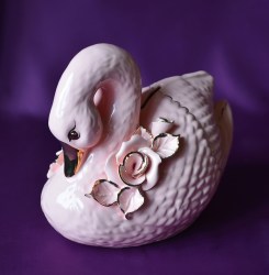 kopilka_lebed_rozovuy