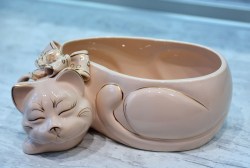 kotik-britansky-krem4