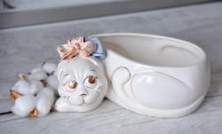 kotik-shotlandskiy-vislouhiy