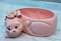 kotik-shotlandsky-vislouhiy-rozoviy8