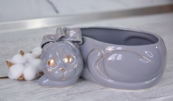 kotik-shotlandsky-vislouhiy-seriy