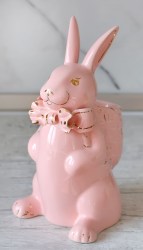 krolik-s-rjhzinkoi-rozoviy5